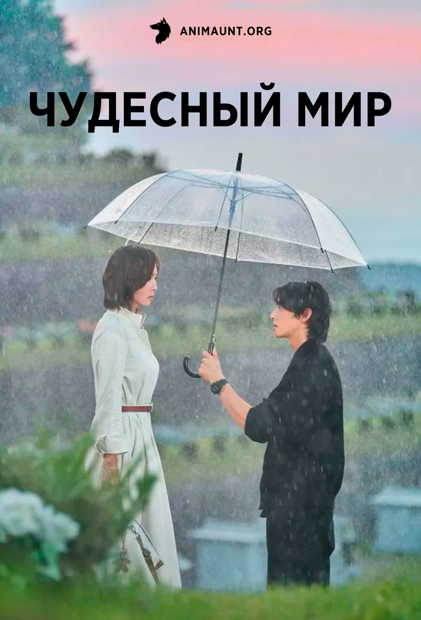 Чудесный мир