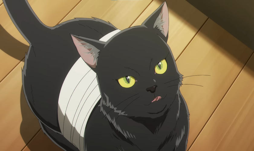 Постер, трейлер и месяц премьеры аниме «Black Torch»