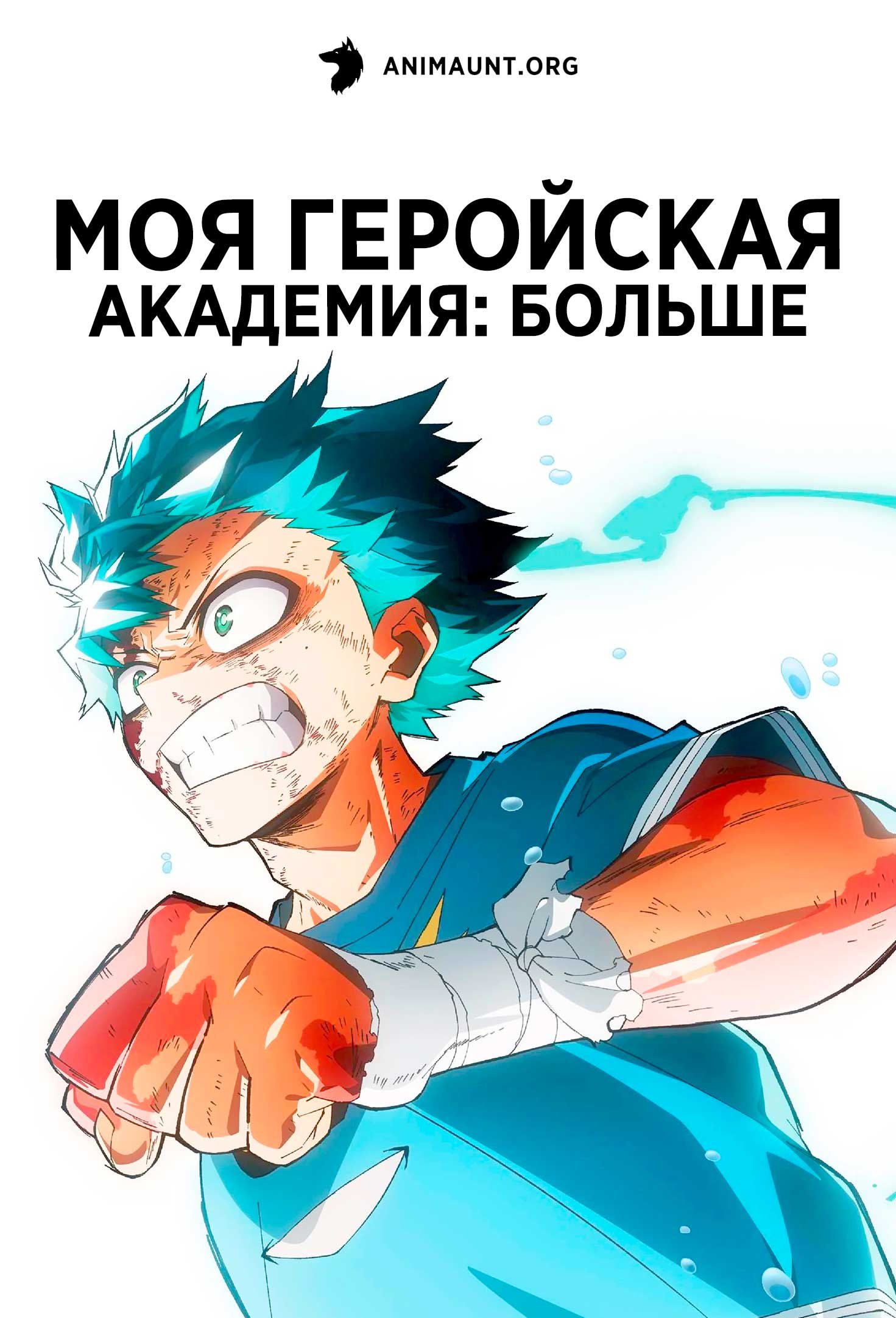 Моя геройская академия: Больше